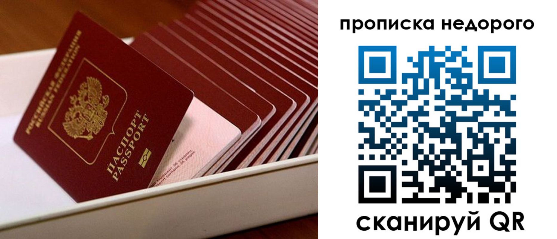 прописка паспорт в Александровске